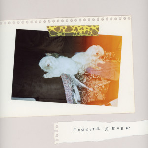 Album Forever & Ever (Explicit) from SALES