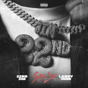 Album Say Luv (Explicit) from Larry June