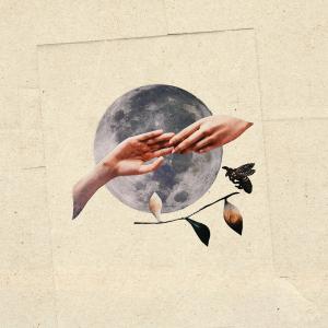 Album Mother Moon oleh Shereef