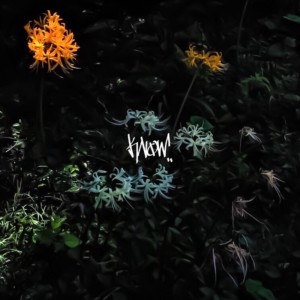 ดาวน์โหลดและฟังเพลง LIFE (feat. MADJAG) พร้อมเนื้อเพลงจาก Marcorosso