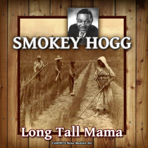 ดาวน์โหลดและฟังเพลง The Way You Treat Me (I Got Your Picture) พร้อมเนื้อเพลงจาก Smokey Hogg