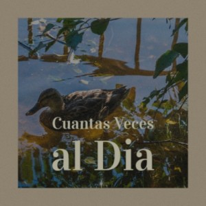 Album Cuantas Veces Al Dia from Various