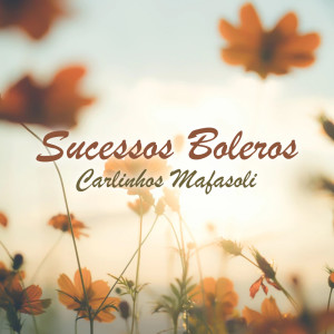 Album Sucessos Boleros from 