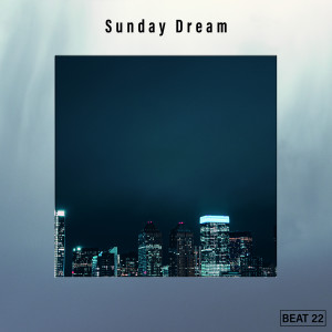 Various Artists的專輯Sunday Dream Beat 22