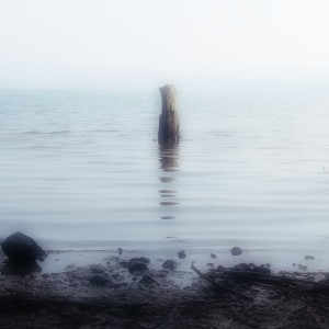 Listen to • 不确定性::Uncertainty (完整版) song with lyrics from 霖筱.exe