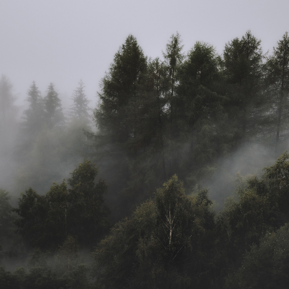 Mist in the Window