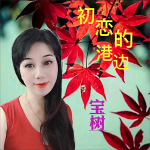 Listen to 初恋的港边 (伴奏) song with lyrics from 宝树
