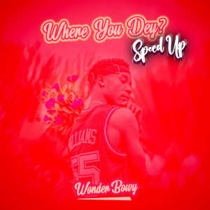 收听WonderBowy的Where You Dey (Speed Up)歌词歌曲