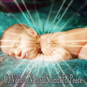Listen to Relaxing in the Evening song with lyrics from Baby Sleep