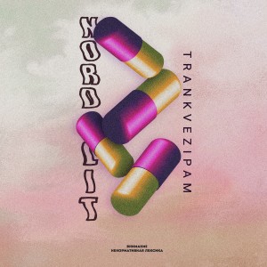Listen to Trankvezipam (Explicit) song with lyrics from Nord Lit