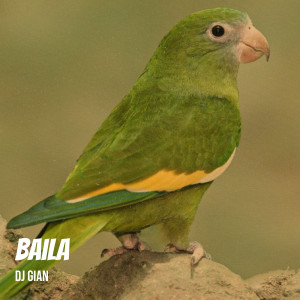DJ Gian的专辑Baila
