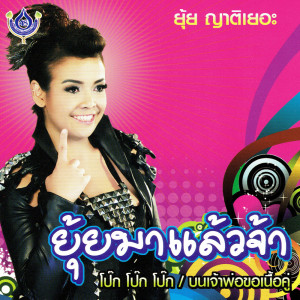 ดาวน์โหลดและฟังเพลง ไม่ใช่เมียน้อย พร้อมเนื้อเพลงจาก ยุ้ย ญาติเยอะ