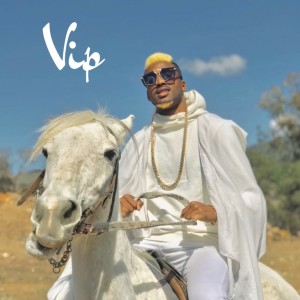 Listen to VIP song with lyrics from Dr Black