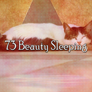收聽Sleep Sounds of Nature的Just Relax歌詞歌曲