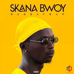 Listen to Wine slow (Prod by StephOnTheBeat) (Explicit) song with lyrics from Skana Bwoy