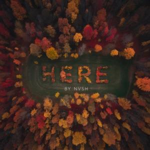 收聽NVSH的here (Explicit)歌詞歌曲