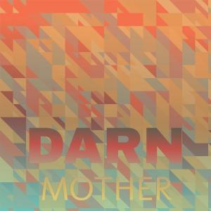 Various的专辑Darn Mother