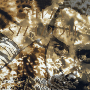ดาวน์โหลดและฟังเพลง When We're Dancing พร้อมเนื้อเพลงจาก Twin Shadow