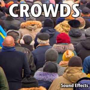 Sound Ideas的專輯Crowds Sound Effects