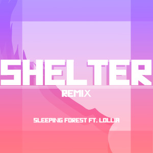 Shelter (Remix)
