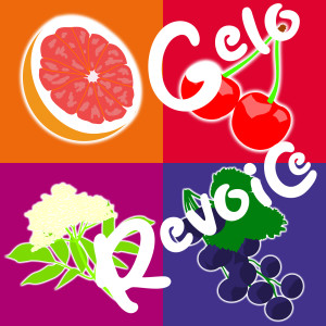 Listen to Gelo Revoice (Explicit) song with lyrics from Medimeisterschaften Hannover