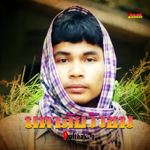 Listen to มหาลัยวัวชน song with lyrics from วงพัทลุง พาราฮัท