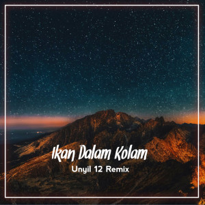 Listen to Ikan Dalam Kolam song with lyrics from UNYIL 12 REMIX