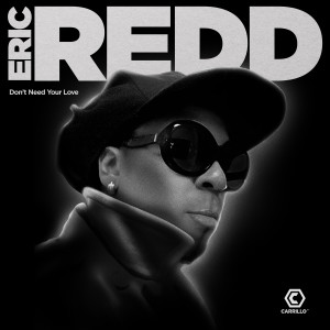 Listen to Don't Need Your Love (Rod's Melodic  Journey Mix) song with lyrics from Eric Redd
