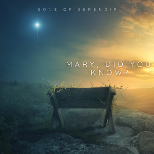 Sons of Serendip的专辑Mary, Did You Know?