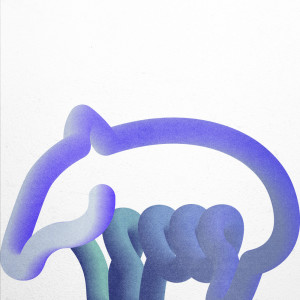 Album TAPIR from emptei