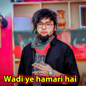 收听Tanveer Malik的Wadi ye hamari hai歌词歌曲