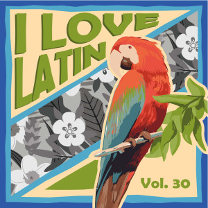 Listen to Saudades Do Meu Barracao song with lyrics from Bando Da Lua