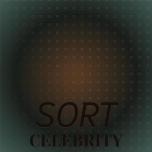 Various Artists的專輯Sort Celebrity