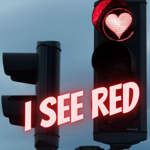 Listen to I See Red (Slowed Down Version) (Remix) song with lyrics from Bella DJ