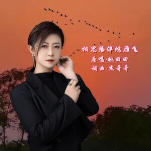 傑哥哥的專輯相思陪伴鴻雁飛