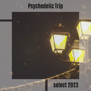 Various的专辑Psychedelic Trip Select 2023