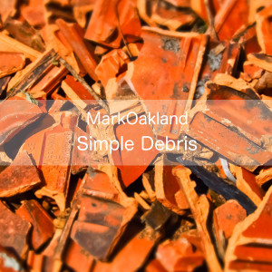 Album Simple Debris from Mark Oakland