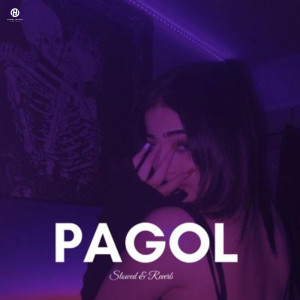 Listen to Pagol (Slowed + Reverb) song with lyrics from Atikur Rahman Himel