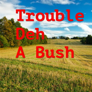 Trouble Deh A Bush