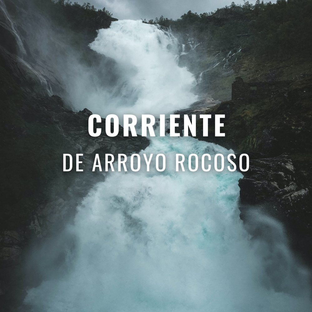 Mareas Complacientes