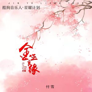 收聽付雪的金玉良緣 (DJR7版)歌詞歌曲
