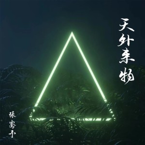 Listen to 天外来物-音乐节现场 (cover: 蓝亦辰) (完整版) song with lyrics from 张骞予