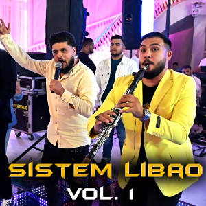 Listen to Sistem Libao, Vol. 1 song with lyrics from Sedan Video