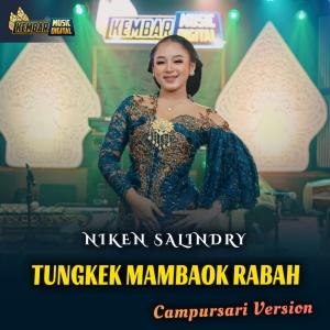 Album Tungkek Mambaok Rabah oleh Niken Salindry