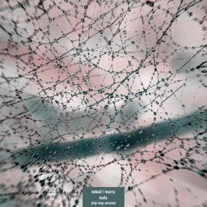 Dengarkan Malo (feat. MURRA) (trip-hop version) lagu dari noteaf dengan lirik