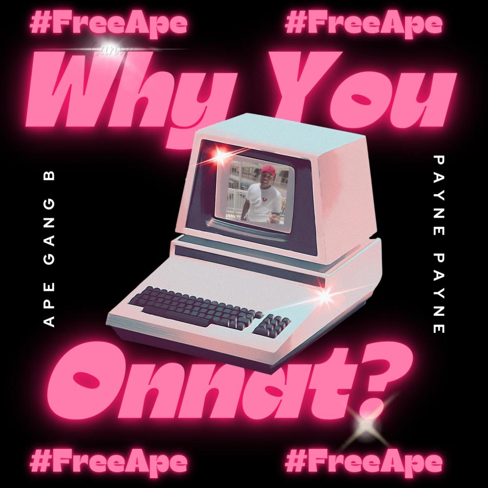 Why You On That (feat. Ape Gang B) (Explicit)