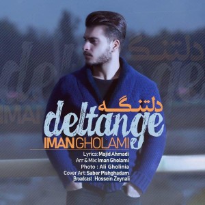 Listen to Deltange song with lyrics from Iman Gholami