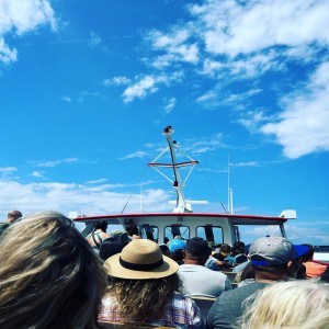 收聽Gabriella Vergilov的SO SHY歌詞歌曲