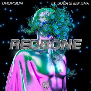 Album Redbone (Explicit) oleh Dropgun