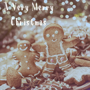 Christmas Music and Holiday Hits的专辑A Very Merry Christmas